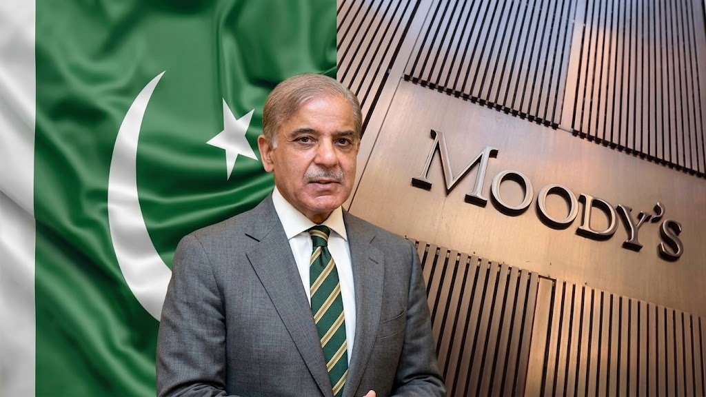 Prime Minister Shehbaz Sharif addressing a ceremony on Pakistan’s economic reforms and National Olive Value Chain Policy